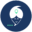 GeniusTravel
