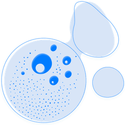 AI4Cosmetics